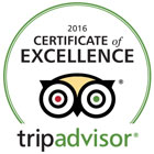 Trip Advisor Excellence